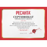 Мойка РЕСАНТА МР-220ПРОФ 70/8/24